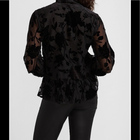 Express Chic Silhouette Velvet Floral Design Tie Neck and Sheer Balloon Sleeves - Picture 3 of 6